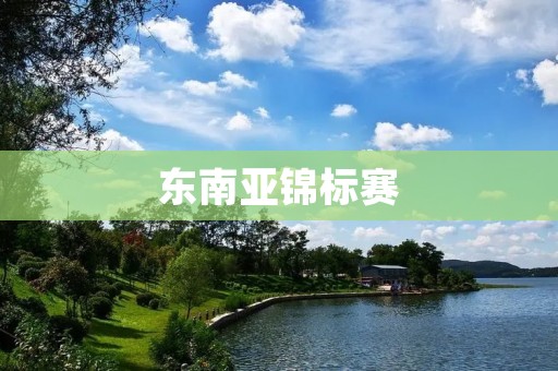 东南亚锦标赛：东盟足球的崛起与辉煌