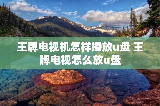 王牌电视机怎样播放u盘 王牌电视怎么放u盘