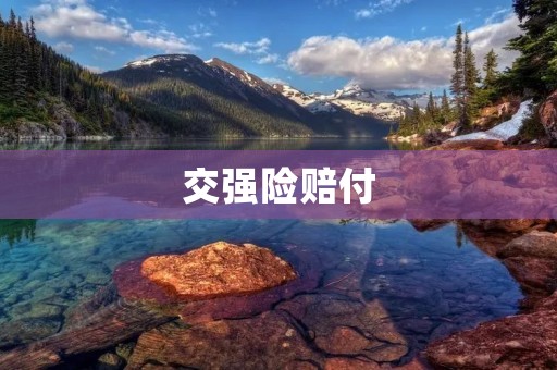 交强险赔付:维护交通安全,保障被保险人权益 交强险赔付:维护交通安全,保障被保险人权益