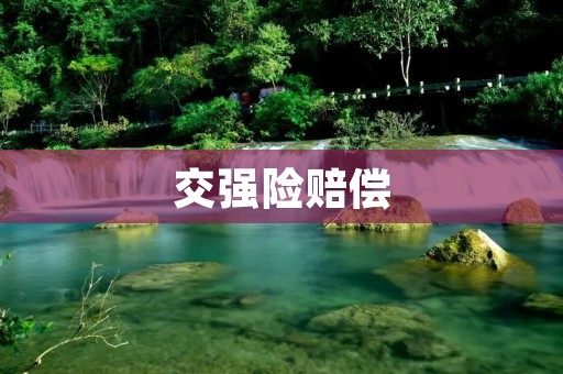 交强险赔偿：维护交通秩序与保障被保险人权益的重要保障