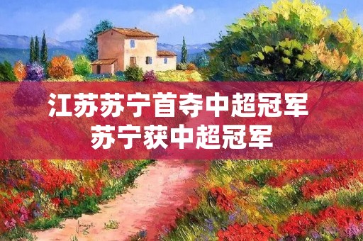 江苏苏宁首夺中超冠军 苏宁获中超冠军