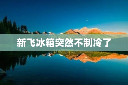 新飞冰箱突然不制冷了:原因分析与解决方案 新飞冰箱突然不制冷了:原因分析与解决方案