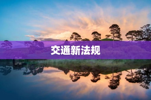 交通新法规:构建安全高效的出行环境 交通新法规:构建安全高效的出行环境
