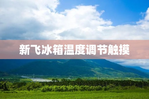新飞冰箱温度调节触摸:让你的食物保鲜更精准 新飞冰箱温度调节触摸:让你的食物保鲜更精准