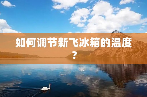 如何调节新飞冰箱的温度? 如何调节新飞冰箱的温度?