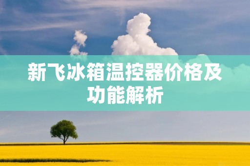 新飞冰箱温控器价格及功能解析 新飞冰箱温控器价格及功能解析