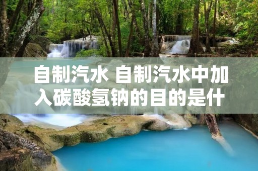 自制汽水 自制汽水中加入碳酸氢钠的目的是什么