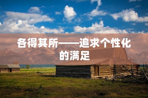 各得其所——追求个性化的满足