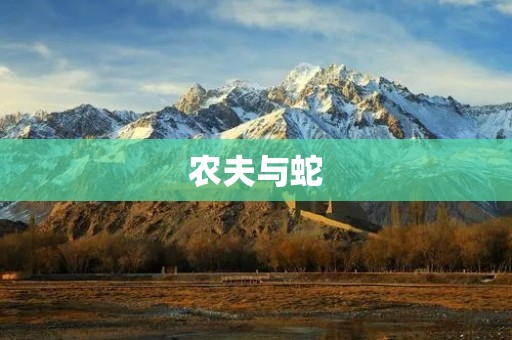 农夫与蛇:一场命运的交织
