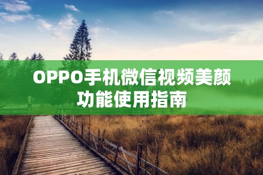OPPO手机微信视频美颜功能使用指南