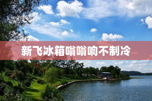 新飞冰箱嗡嗡响不制冷:解决方法与维修指南 新飞冰箱嗡嗡响不制冷:解决方法与维修指南