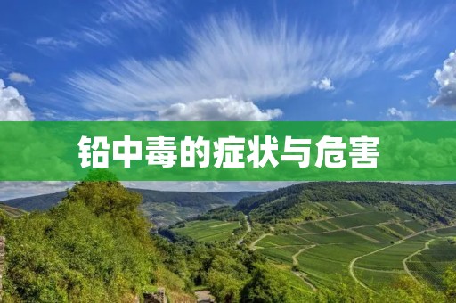 铅中毒的症状与危害