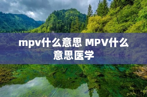 mpv什么意思 MPV什么意思医学 mpv什么意思 MPV什么意思医学