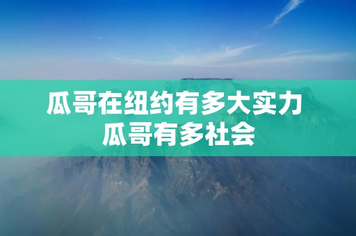 瓜哥在纽约有多大实力 瓜哥有多社会 瓜哥在纽约有多大实力 瓜哥有多社会