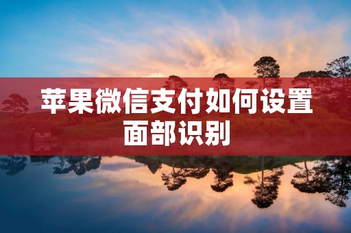 苹果微信支付如何设置面部识别