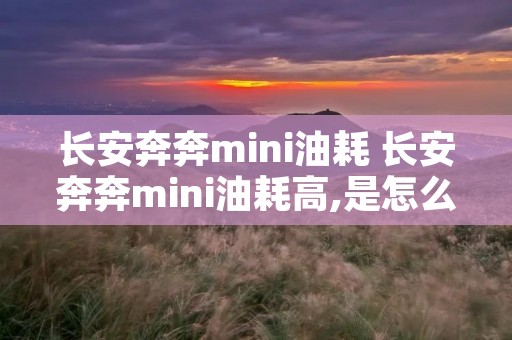 长安奔奔mini油耗 长安奔奔mini油耗高,是怎么回事呢 长安奔奔mini油耗 长安奔奔mini油耗高,是怎么回事呢
