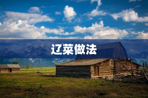 辽菜做法:传统美味的东北佳肴 辽菜做法:传统美味的东北佳肴