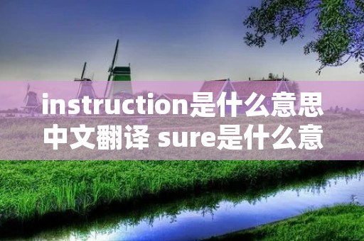 instruction是什么意思中文翻译 sure是什么意思中文翻译