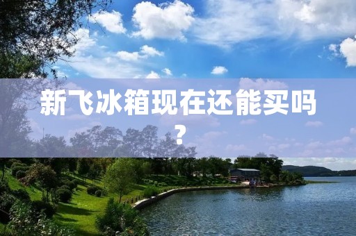 新飞冰箱现在还能买吗? 新飞冰箱现在还能买吗?