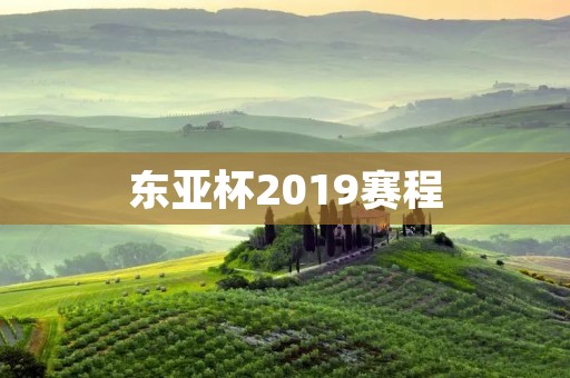 东亚杯2019赛程：为东亚地区足球迷带来的盛宴