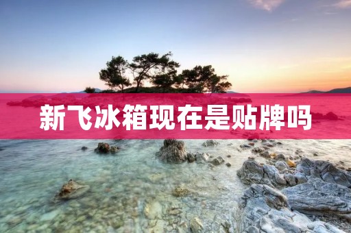 新飞冰箱现在是贴牌吗