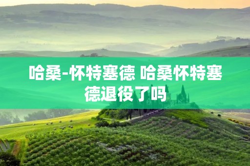 哈桑-怀特塞德 哈桑怀特塞德退役了吗 哈桑-怀特塞德 哈桑怀特塞德退役了吗