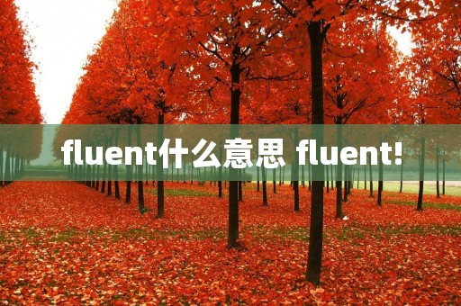 fluent什么意思 fluent!