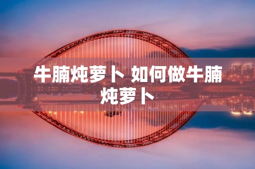 牛腩炖萝卜 如何做牛腩炖萝卜