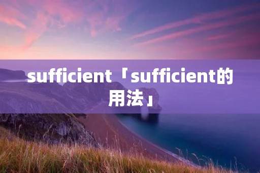 sufficient「sufficient的用法」