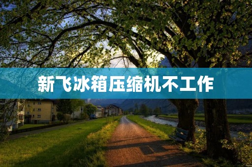 新飞冰箱压缩机不工作：原因和解决方法