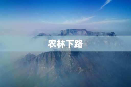 农林下路:实现农业与林业的良性互动