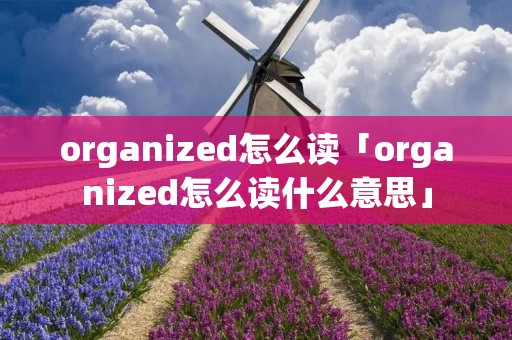 organized怎么读「organized怎么读什么意思」