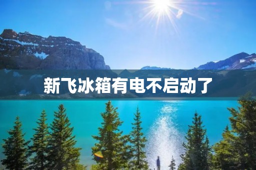 新飞冰箱有电不启动了:探寻故障原因及解决方法 新飞冰箱有电不启动了:探寻故障原因及解决方法