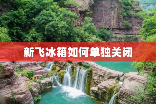 新飞冰箱如何单独关闭 新飞冰箱如何单独关闭