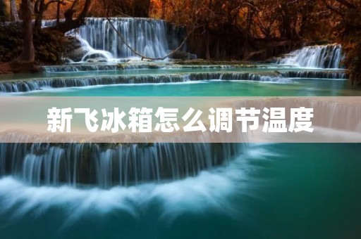 新飞冰箱怎么调节温度