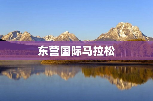 东营国际马拉松：奔向健康与**的盛会
