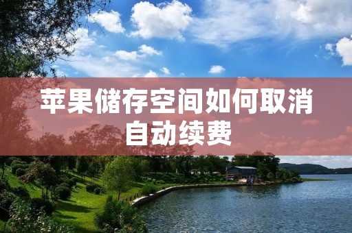 苹果储存空间如何取消自动续费