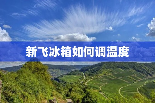 新飞冰箱如何调温度