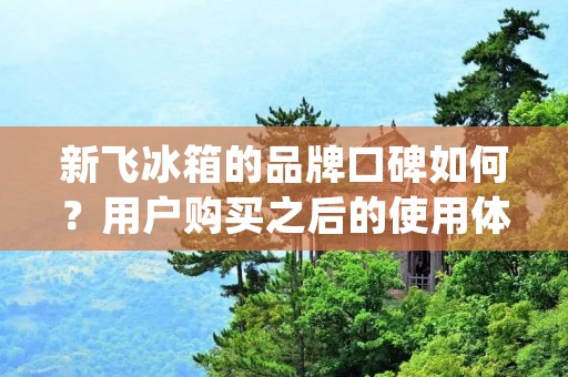 新飞冰箱的品牌口碑如何？用户购买之后的使用体验又如何呢？下面将对新飞冰箱进行详细的描述和评价，帮助大家了解新飞冰箱的性能和功能。