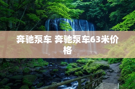 奔驰泵车 奔驰泵车63米价格