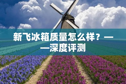 新飞冰箱质量怎么样?——深度评测 新飞冰箱质量怎么样?——深度评测