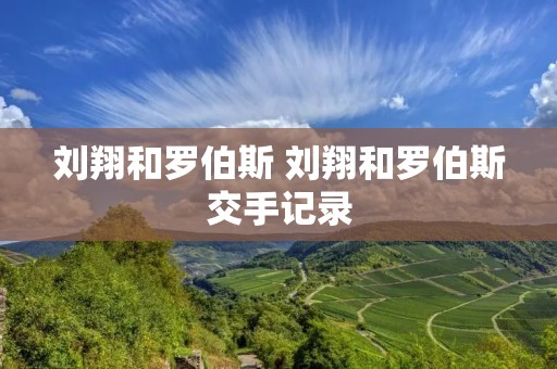 刘翔和罗伯斯 刘翔和罗伯斯交手记录