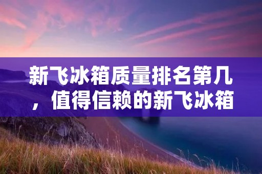 新飞冰箱质量排名第几，值得信赖的新飞冰箱品牌推荐