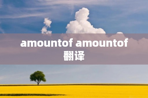 amountof amountof翻译