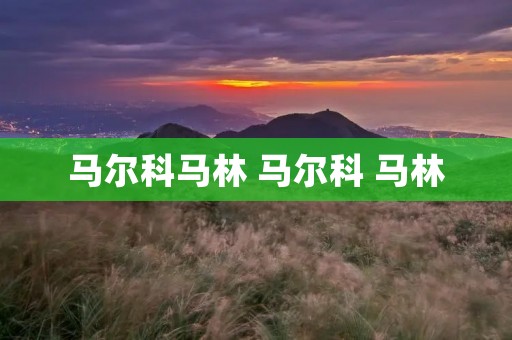 马尔科马林 马尔科 马林