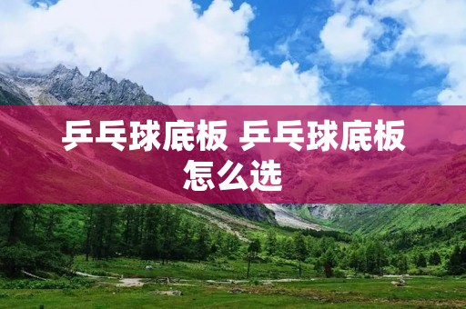 乒乓球底板 乒乓球底板怎么选