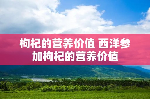 枸杞的营养价值 西洋参加枸杞的营养价值