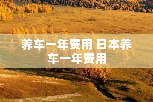 养车一年费用 日本养车一年费用