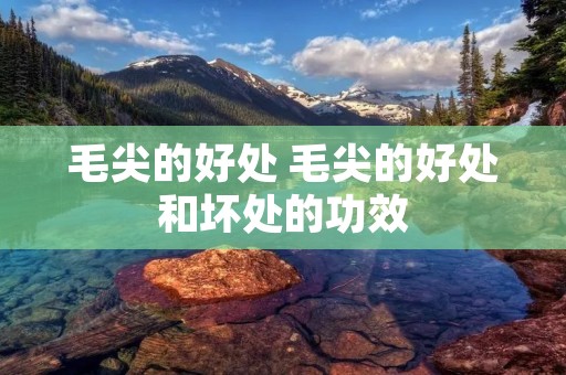 毛尖的好处 毛尖的好处和坏处的功效