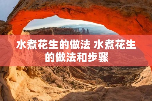 水煮花生的做法 水煮花生的做法和步骤